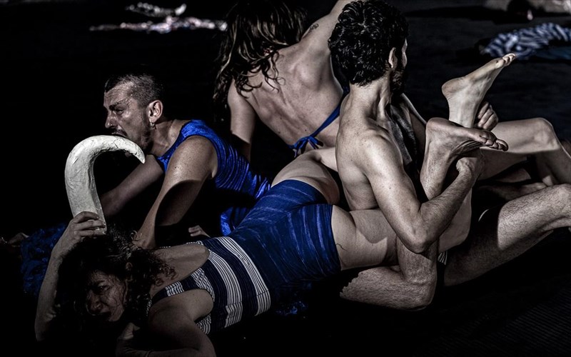 kaos-i-omada-griffon-sti-mikri-epidauro