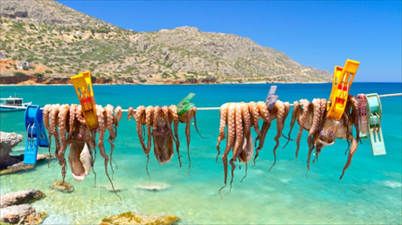 10-geuseis-pou-murizoun-elliniko-kalokairi