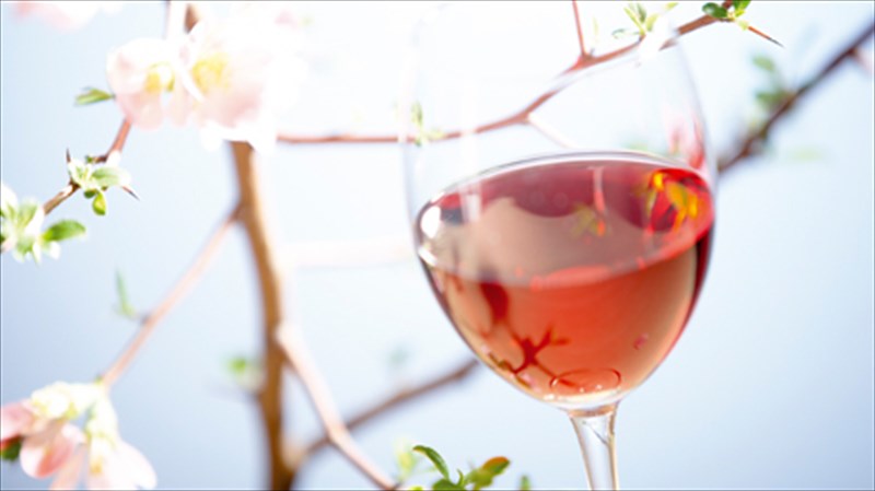 ston-asterismo-tou-roze