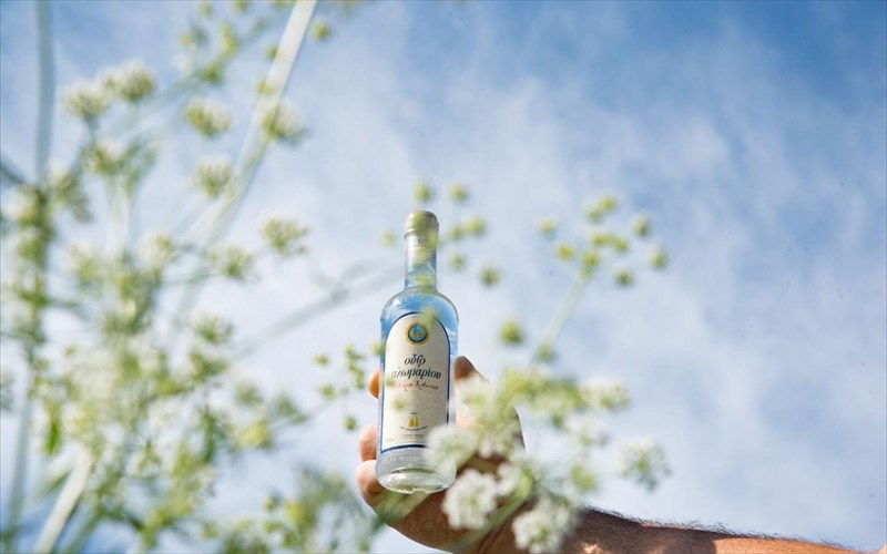 brethikame-sto-plomari-kai-mathame-gia-tin-paragogi-ouzou-apo-tin-pigi