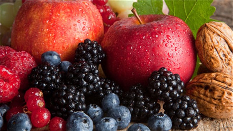 metabolismos-turbo-me-tis-katalliles-trofes