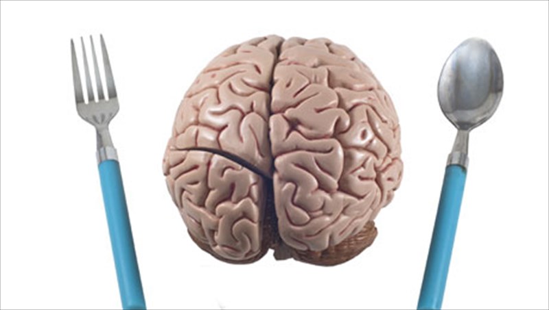 11-trofes-pou-blaptoun-tin-egkefaliki-leitourgia