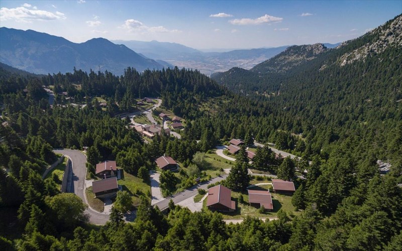 to-dog-weekend-epistrefei-sto-elatos-resort-kai-health-club-health-club