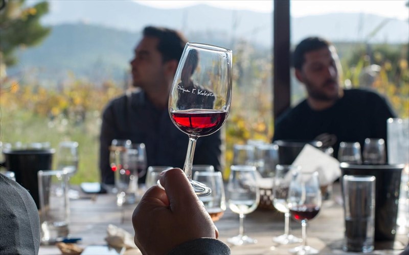 to-ktima-kokotou-giortazei-me-kalo-skopo