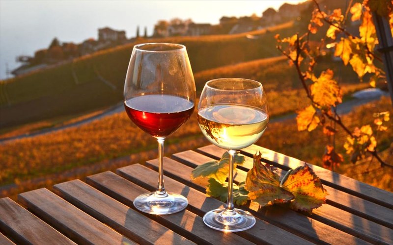 eseis-tha-giortasete-tin-europaiki-imera-oinotourismou