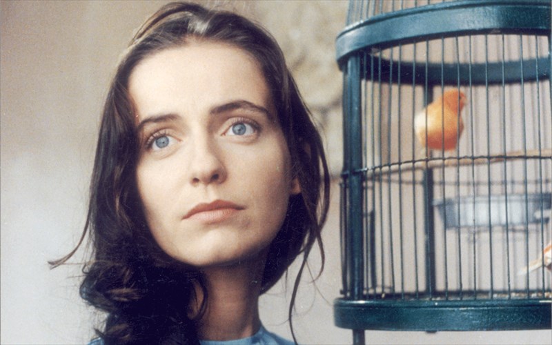 ksekinaei-to-festibal-protoporiakou-kinimatografou-stin-tainiothiki