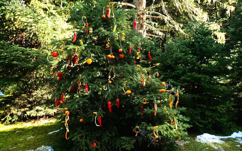 erxetai-xristougenniatiki-pezoporia-sto-menalon-trail