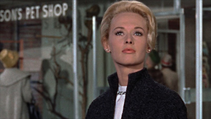 ta-poulia-tou-xitskok-se-nees-ptiseis