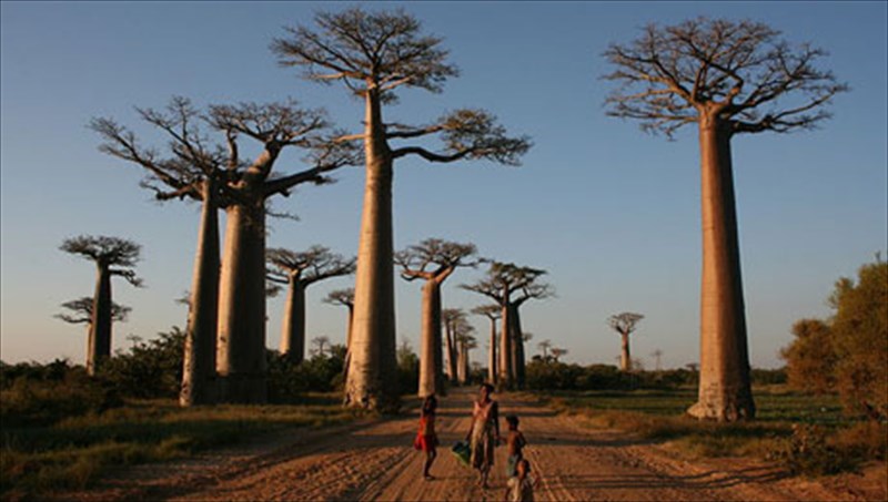 7-monadika-dasi-tou-planiti-monadika-dasi-tou-planiti