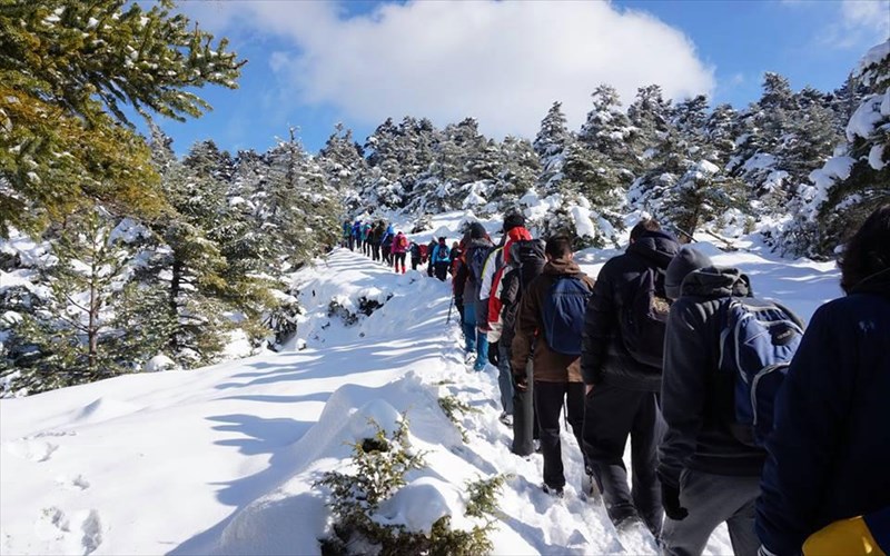 tolmate-pezoporia-ston-xionismeno-elikona