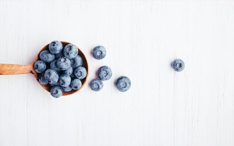 poia-trofi-krata-tis-rutides-makria