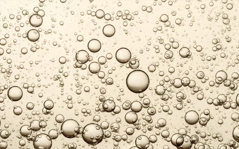 einai-i-sampania-vegan-sampania-vegan