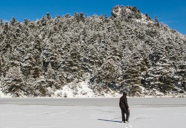 nees-peripeteies-sti-zireia-kai-ti-limni-dasiou