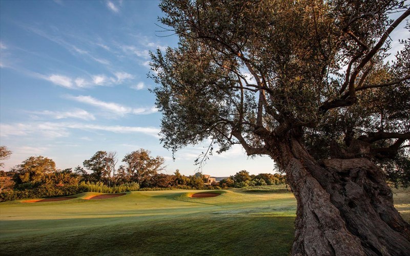 to-4o-messinia-pro-am-metra-antistrofa