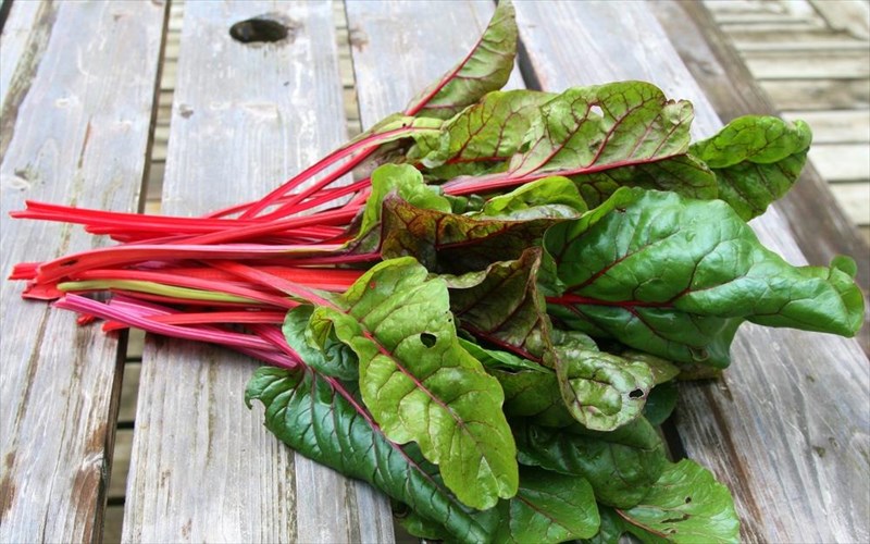 treis-trofes-pou-mas-ftiaxnoun-to-kefi