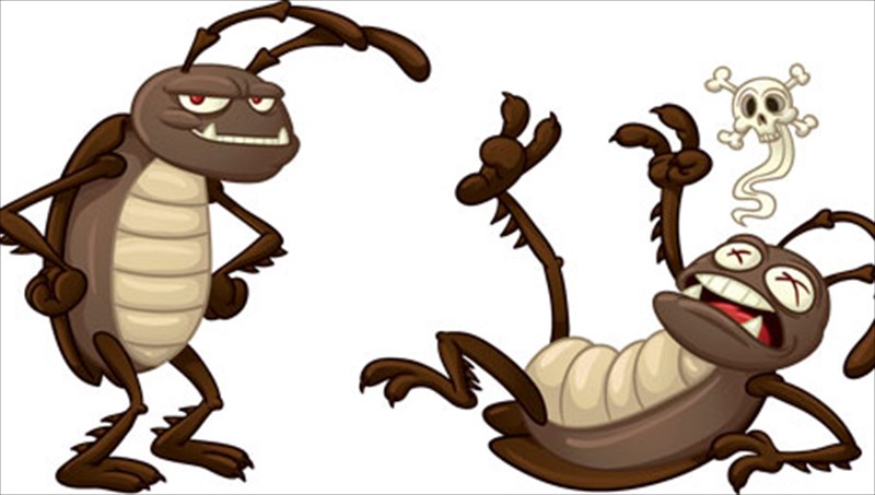 pos-tha-dioksoume-tis-katsarides