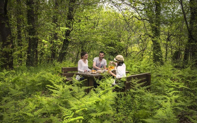 apodrasi-eueksias-erxetai-ton-martio-stin-ampeliona-arkadias