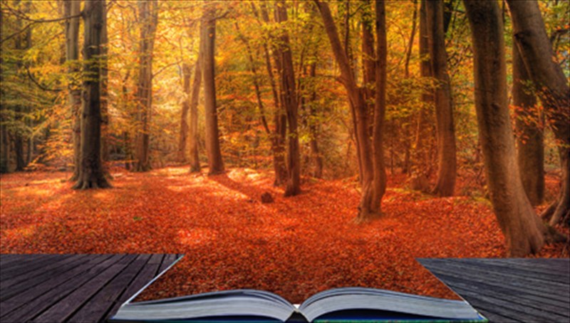 biblia-aixmis-gia-to-fthinoporo-apo-to-metaixmio