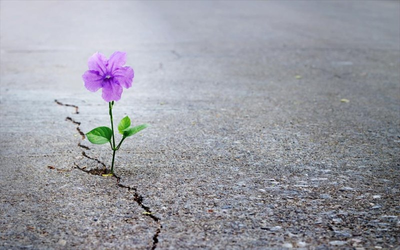 okto-pragmata-pou-mas-ftiaxnoun-to-kefi-en-meso-pandimias