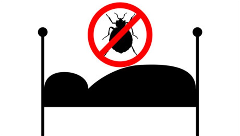 korioi-10-pragmata-pou-prepei-na-gnorizoume