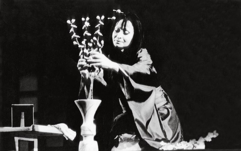 apebiose-i-diakekrimeni-upsifonos-zannet-pilou-diakekrimeni-upsifonos-zannet-pilou