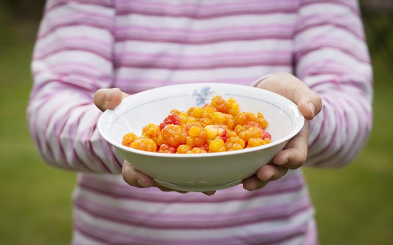 oi-protoboulies-ston-xoro-tis-gastronomias-sunexizontai