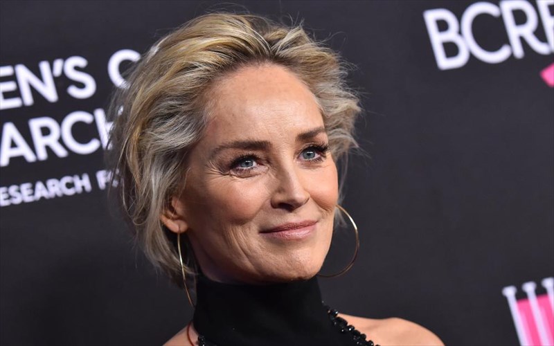 kante-to-opos-oi-stone-shields-macdowell-kai-marceau