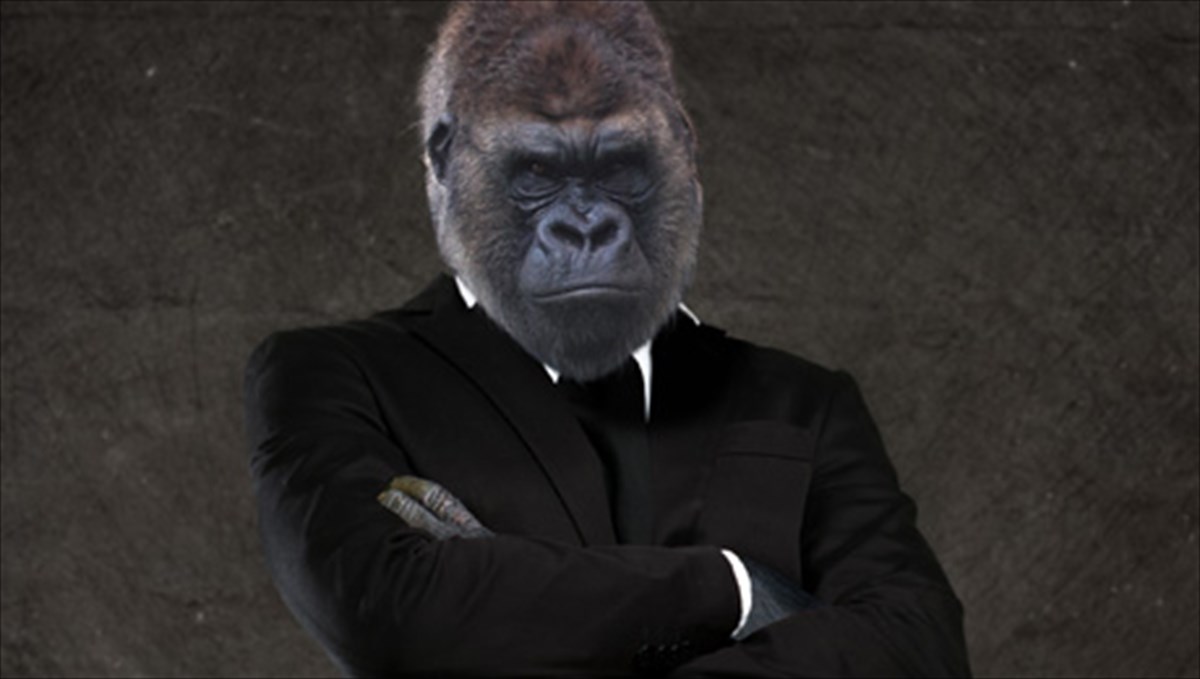 oi-mustiriodeis-kodikes-tis-anthropinis-sumperiforas-kai-i-zoiki-proeleusi-tous-zoiki-proeleusi-tous