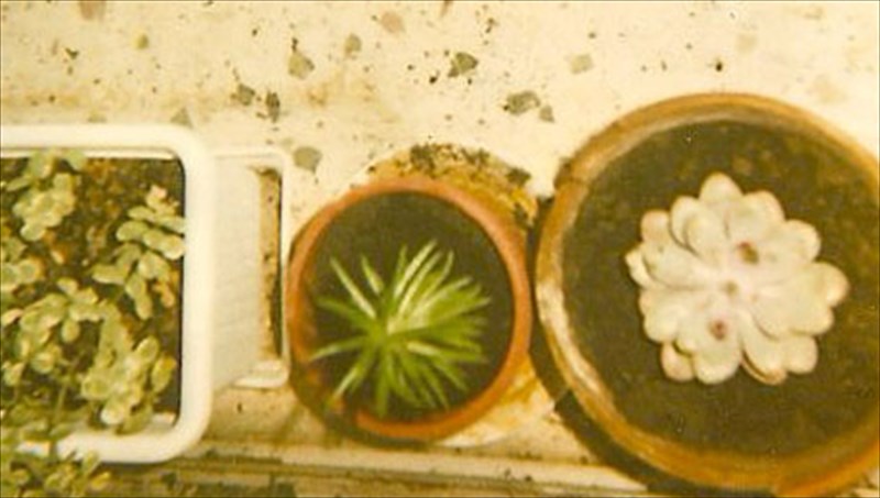 thelo-na-gino-ulistis-alla