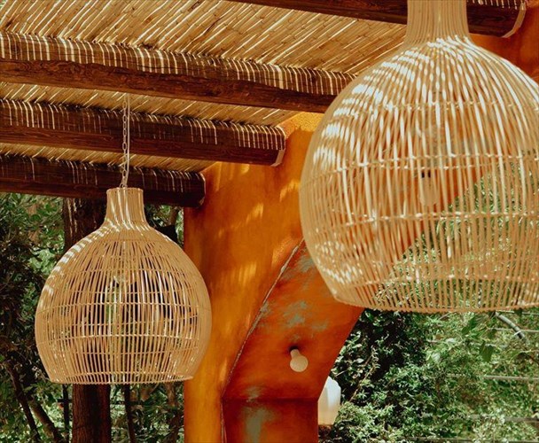 noah-mia-nostimi-oasi-sto-parko-eleutherias