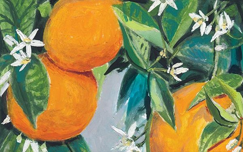 i-iris-kritikou-egrapse-stin-karantina-36-istories-ksanakerdismenis-anoiksis