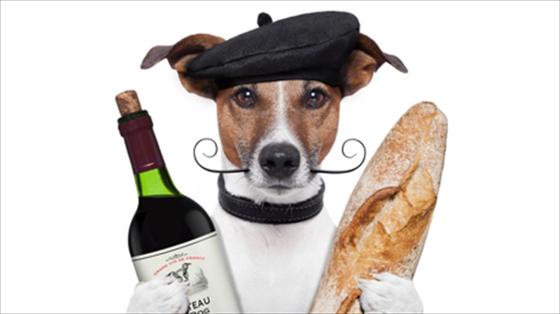 o-eksupnakias-tou-krasiou-mipos-eiste-eseis