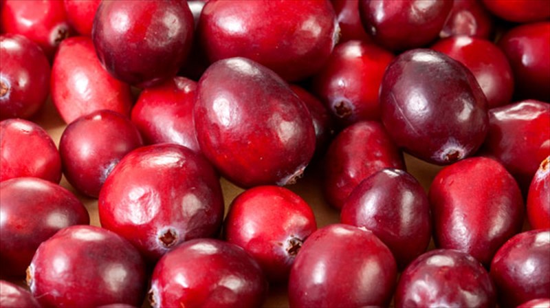 katapolemiste-to-altsxaimer-me-sosti-diatrofi