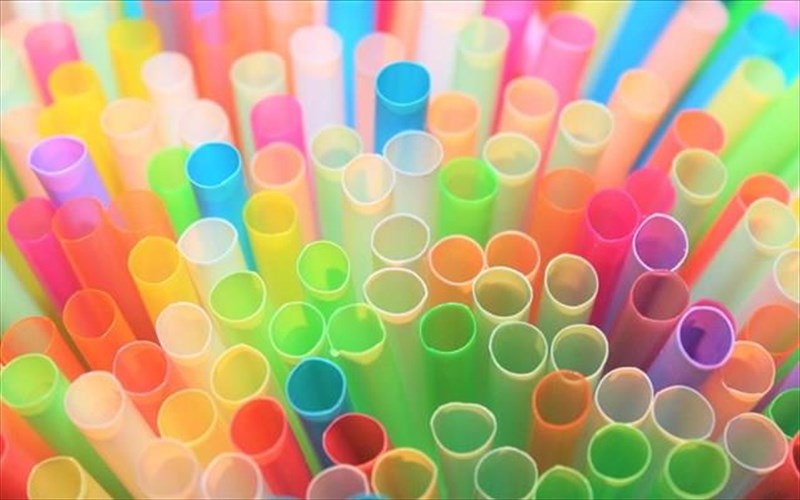 biodiaspomena-kalamakia-apo-zumarika-lansarei-elliniki-etaireia