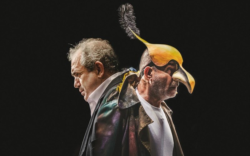 oi-ornithes-tou-kthbe-petoun-stin-epidauro