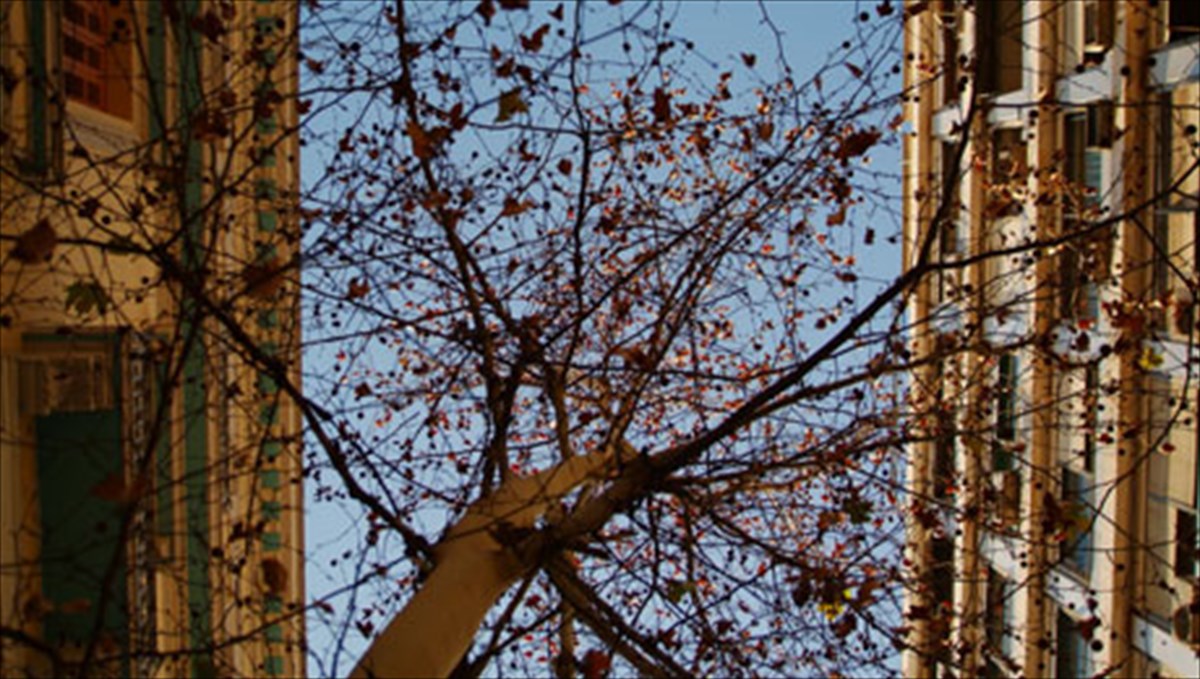 mi-koitate-psila-masfotografizoun