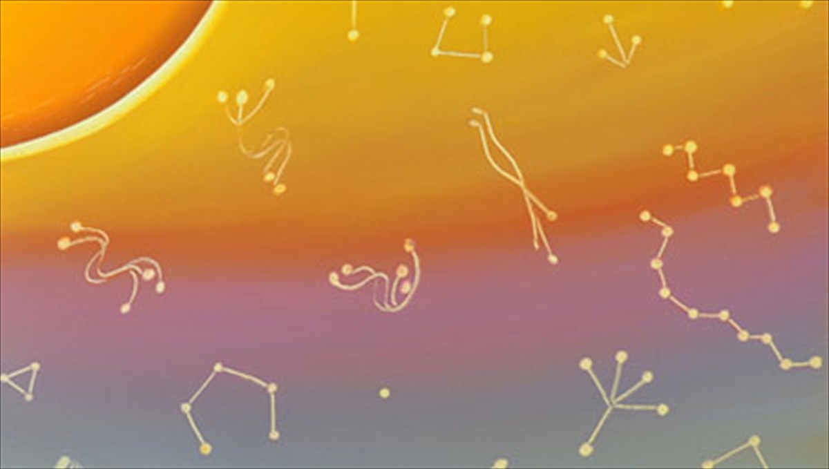 bossa-nova-sto-brusaki