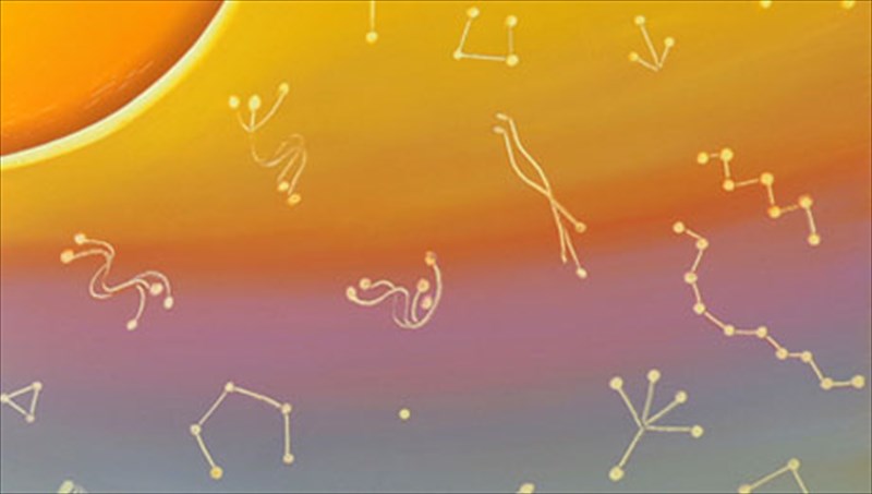 bossa-nova-sto-brusaki