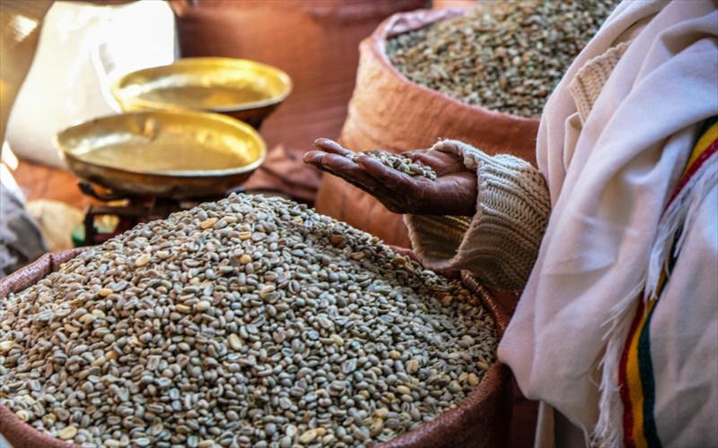 odoiporiko-stin-aithiopia-me-ton-panagioti-nika