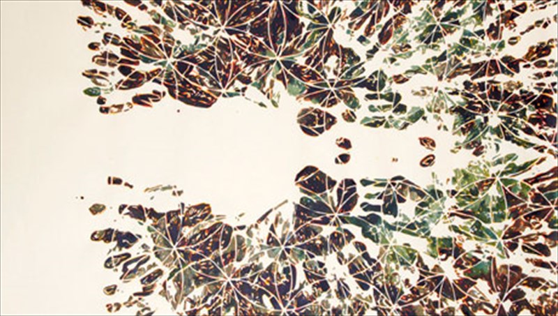 kapou-anamesa-sti-nuxta-kai-ti-mera