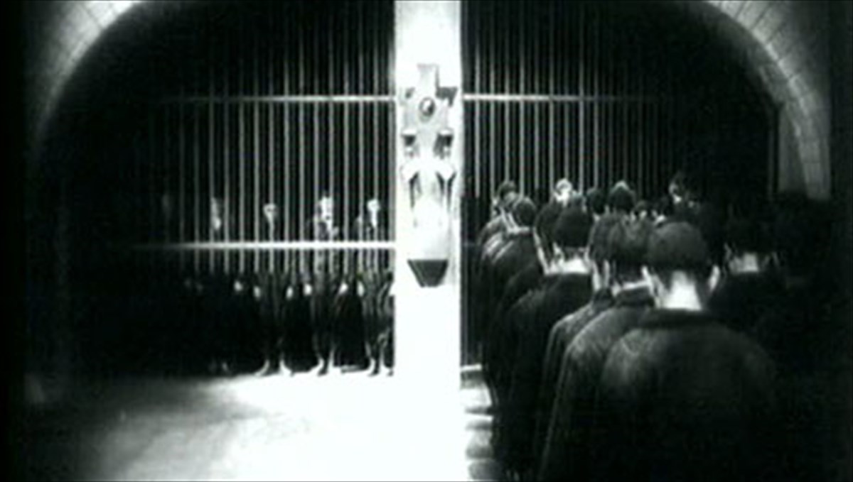 rizospastikes-egkatastaseis-stin-kalon-texnon