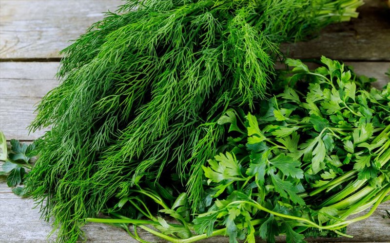 poio-sustatiko-mas-prostateuei-apo-ton-karkino-ton-oothikon