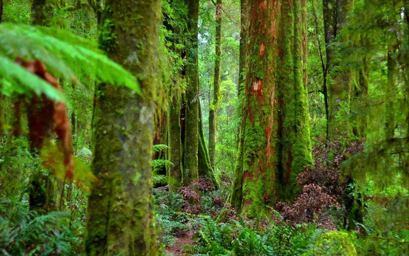 taksidi-sta-omorfotera-simeia-agrias-fusis-tou-planiti