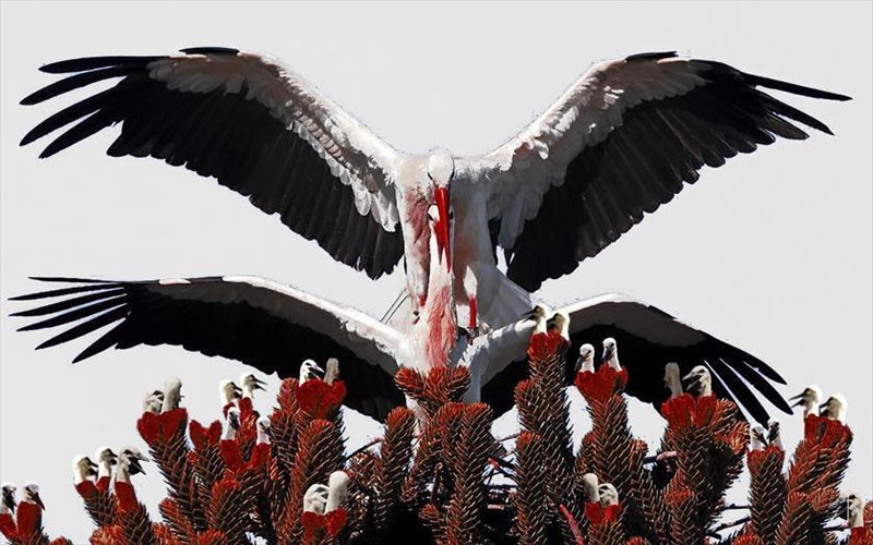 future-now-ena-neo-theatriko-festibal-gennietai-sti-stegi