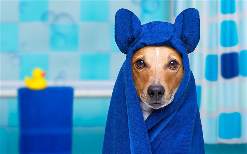 i-teleia-routina-omorfias-tou-pio-pistou-sas-filou