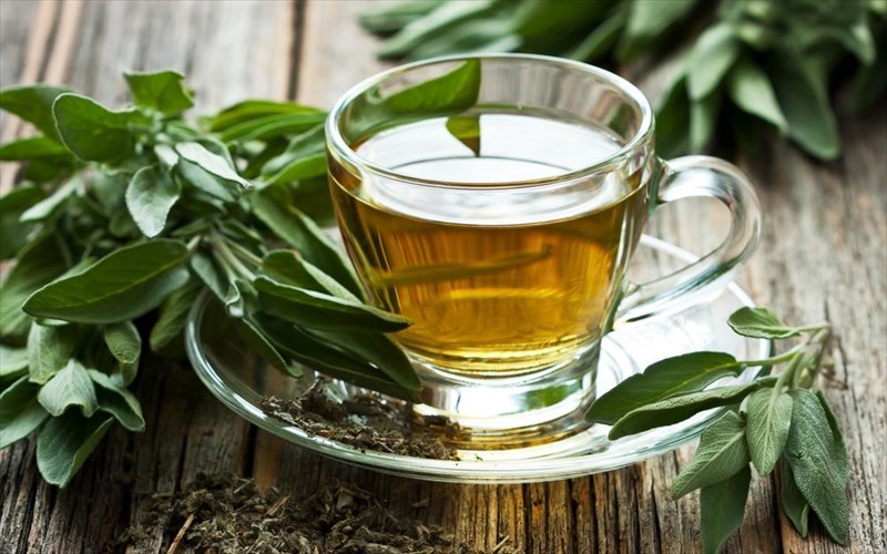 eseis-pinete-faskomilo