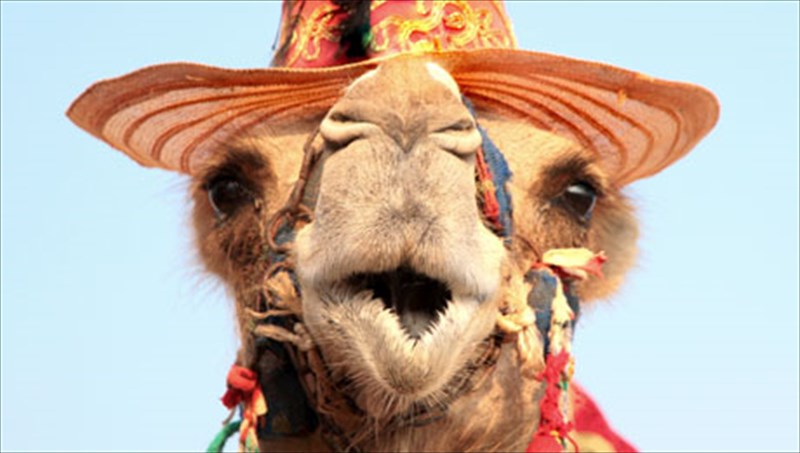 asxetes-aporiesperierges-plirofories