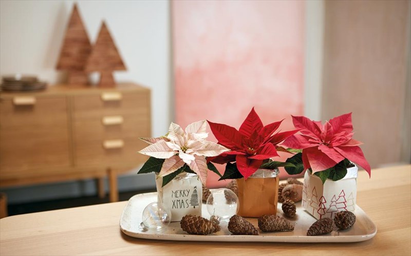 idees-gia-diy-protoxroniatika-dora-me-aleksandrino