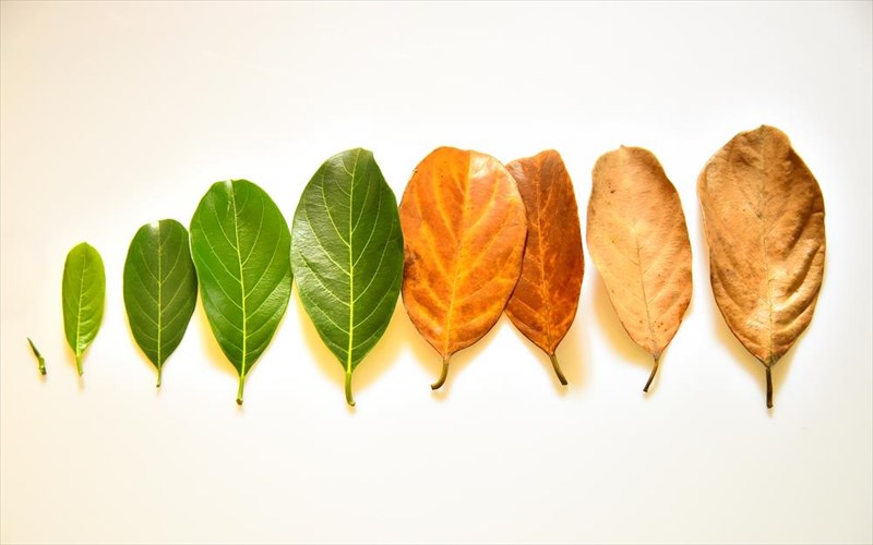 mipos-gername-epikinduna-deite-ta-simadia