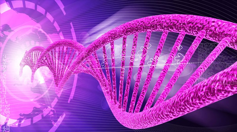 epanastatikos-progennitikos-elegxos-embruou-apo-aimolipsia-tis-miteras